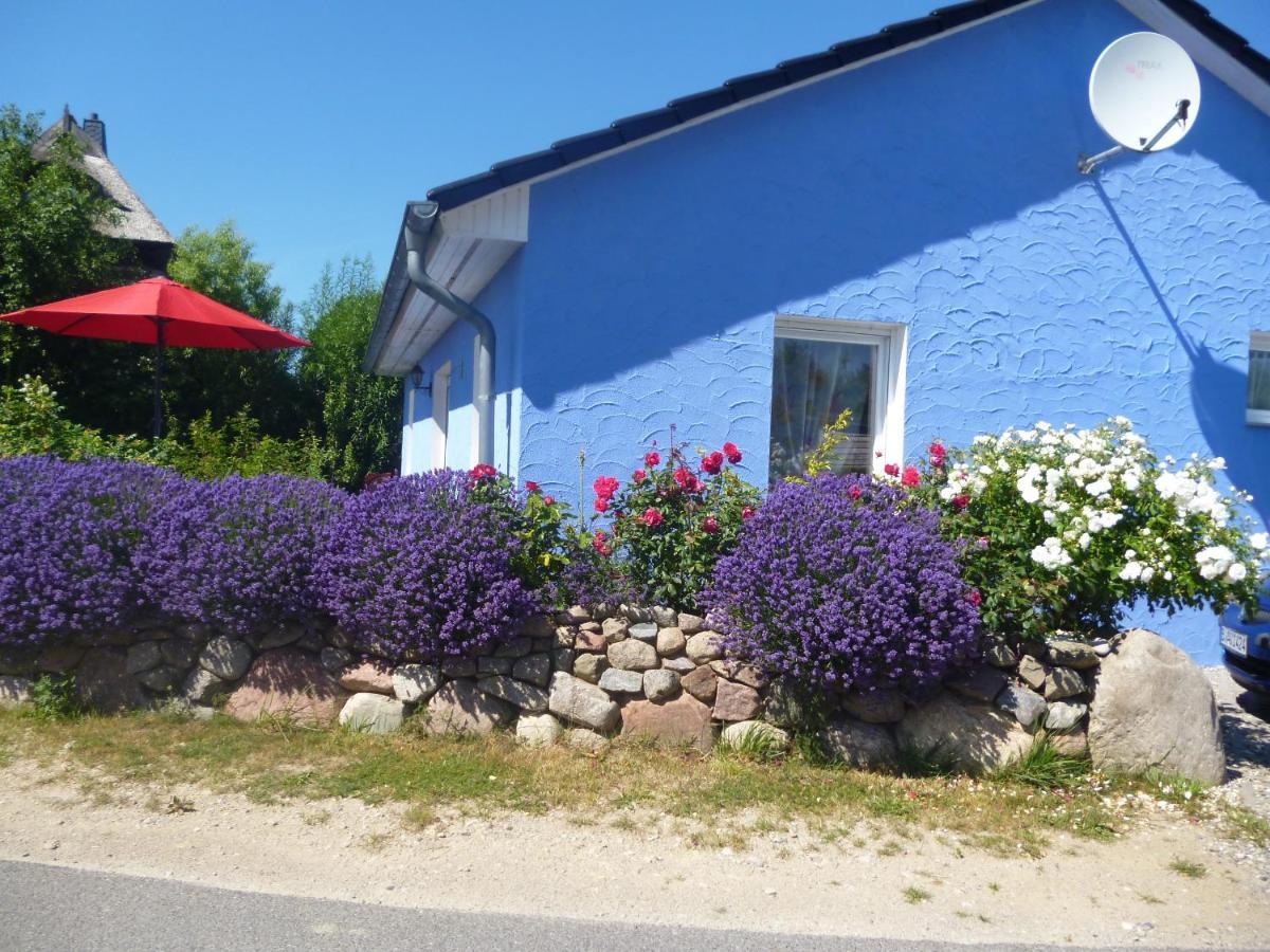 Вілла Haus Lavendel Lancken Екстер'єр фото